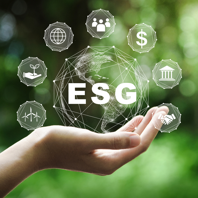 ESG Examples Graphic