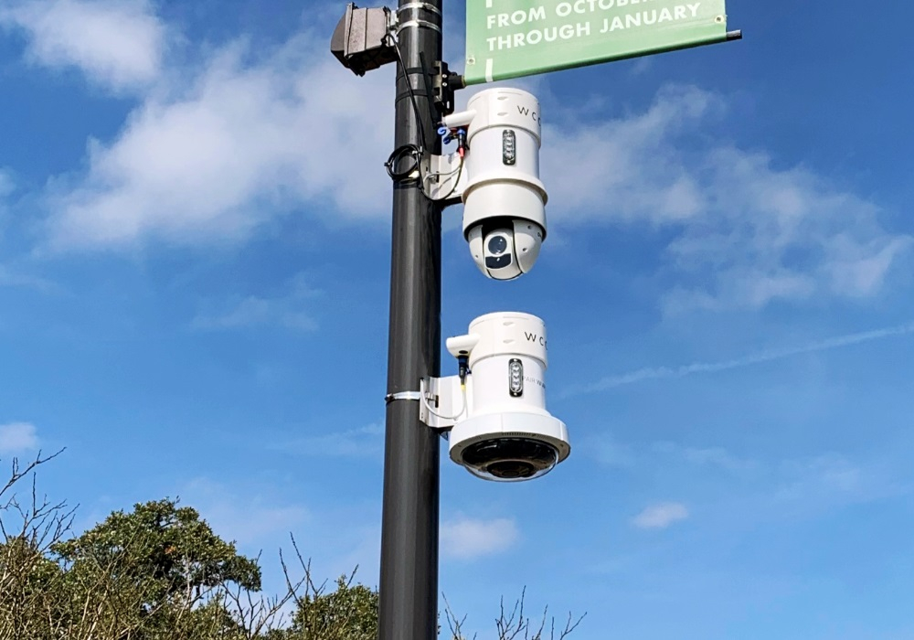 Two WCCTV Pole Cameras - Header